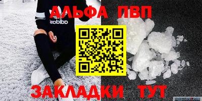 твердый Кингисепп