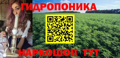 твердый Кингисепп