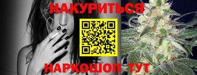 твердый Кингисепп
